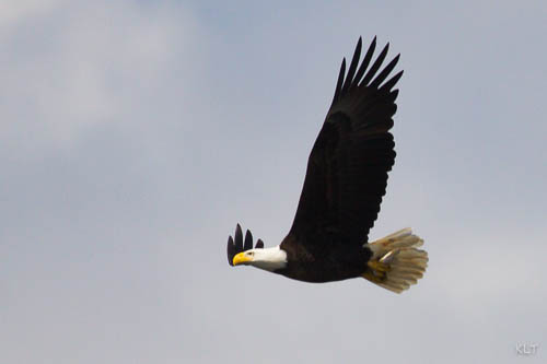 IMG 4927 2