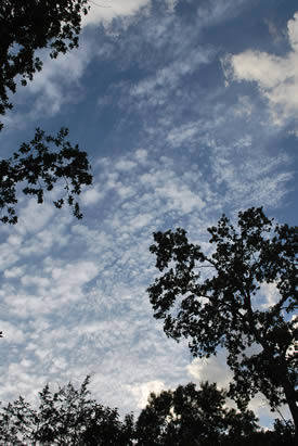 LOP-sky